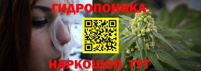 прущие грибы Аргун