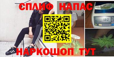 прущие грибы Аргун