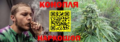 сатива Апшеронск
