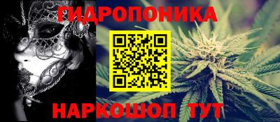 сатива Апшеронск