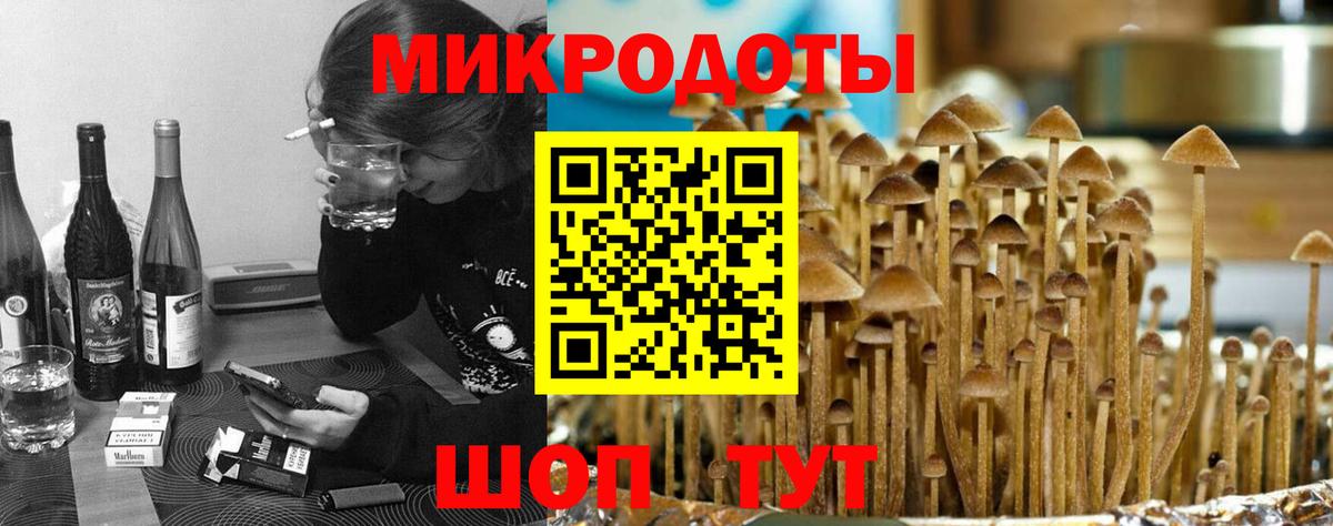 Галлюциногенные грибы GOLDEN TEACHER  закладка  Вольск  Вход с VPN 
